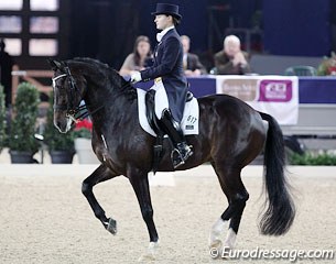 Croatian Amelie Kovac on Dutch warmblood gelding Treffer (by Niagara x Haarlem). The bay shows much talent for piaffe and passage but reared in the first piaffe.  The pair is trained by Adelinde Cornelissen