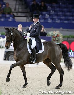 French Gilles Siauve on the Belgian warmblood stallion Windsor van 't Dashaegeveld (by Ferro x Galoubet)