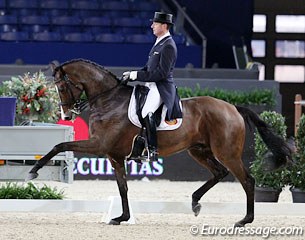 A very promising combination for the future: Patrick van der Meer on Uzzo (by Lancet). The horse manages the Grand Prix moves with great ease but was quite tense in the piaffe and passage. Whopping score of 71.574 %