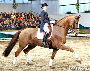 Anabel Balkenhol and Dablino at the 2011 Klosterhof Medingen Stallion Show :: Photo © Kiki Beelitz