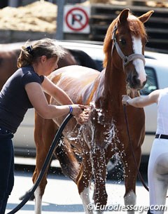 After his ride Tim got a bath