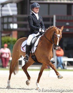 Sanne Gilbers on Daylight