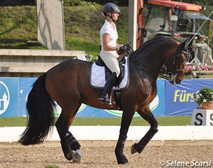 Victoria Max-Theurer schooling Augustin OLD. Well done Vici by wearing a helmet at the show!!