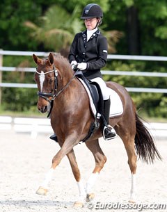 Laurie Vervoort on Leliebelle