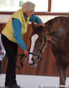 Tellington-Jones doing physio on Dablino