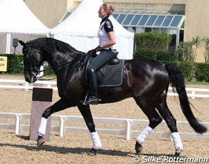 Training in the main arena at Saumur