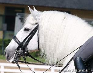 Andalusian Jade de MV