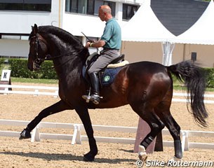 Jean Pierre Blanco schooling Silvia Rizzo's Donnerbube II