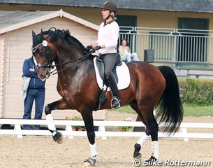 Stephanie Brieussel-Collier schooling Werner