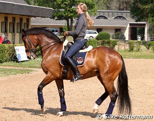 Kathleen Keller and Wonder FRH getting ready for the CDI Grand Prix Special tour in Saumur