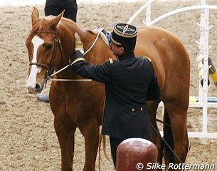 Patrick Pralong working with a jumper on long reins