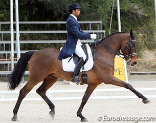 Enrique Brewah Granados on the highly talented Dutch warmblood Zhivago (by Obelisk)