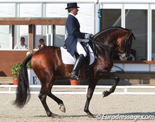 Luis Lucio and Os Nervi performing a textbook piaffe