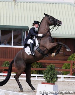 The spooky Vancouver K (by Jazz) proved to be a handful in the Prix St Georges at the 2011 CDI Vejer de la Frontera. Vancouver is now a mid seventy percentage scoring Grand Prix horse :: Photo © Astrid Appels