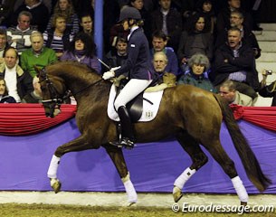 Veronique Swagemaekers on the Oldenburg Fernando Torres (by Florecio x Sandro Song). Powerful trot but this sporty chestnut was quite unruly in the hand