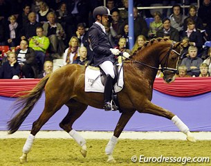 Philip van Ommen on the Dutch warmblood stallion Chagall (by Jazz x De Niro x Romancier). Beautiful modern stallion, very impressive in trot but lateral in canter