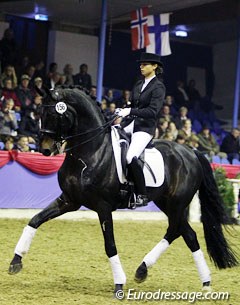 Wanda Wespe on Rubin Royal (by Rohdiamant x Grundstein II). The 20-year old had problems sitting the massive gaits of this fantastic stallion, which is a valuable sire in the Oldenburg area.