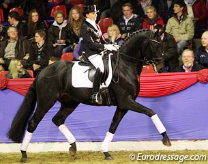 Ines Westendarp on Furstenball (by Furst Heinrich x Donnerhall x Classiker). The bay has muscled up, looked more balanced and up in the bridle. Pity of those unconfirmed flying changes and overuse of half steps