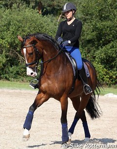 Cipollini is a very athletic dressage horse