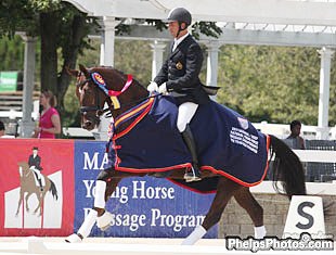 Werner van den Brande and Donna Tella win the 5-year old division at the 2011 American Young Dressage Horse Championships :: Photo © Mary Phelps