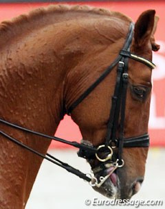 Scandic showing his tongue in the Kur to Music at the 2011 World Cup Finals