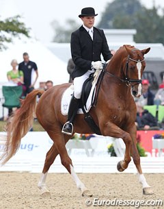 Matthias Bouten on Lezard at the 2011 World Young Horse Championships in Verden :: Photo © Astrid Appels