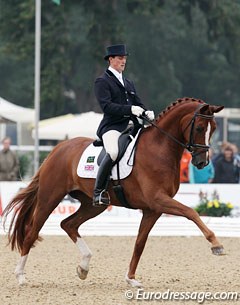 Woodlander Farouche at the 2011 World Young Horse Championships :: Photo © Astrid Appels