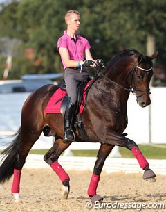 Tom Franckx-Goen schooling Bon Bravour :: Photo © Astrid Appels