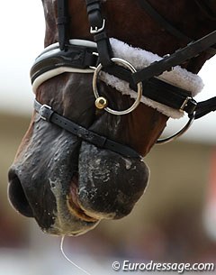 The flash noseband (with crank) is the most commonly used noseband in dressage :: Photo © Astrid Appels