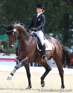 Belgian Larissa Pauluis on Don Massimo (by Don Larino x Santander H). Super elegant horse but he was spooky and tense in walk (got a too low 5.0 for walk) and canter. Not enough lightness. Pity