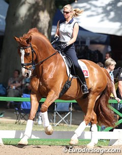 Laura Bechtolsheimer schooling Mistral in a snaffle in the morning. Perfect image of relaxation and looseness. One thing is missing: a helmet!!