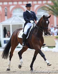 Antonio Diaz Porras on Duke at the 2011 CDI Wiesbaden :: Photo © Astrid Appels