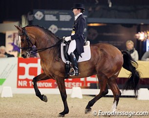 What an amazing horse! Nikki Crisp has a fantastic Grand Prix horse in Pasoa, a 13-year old KWPN gelding by Damocles