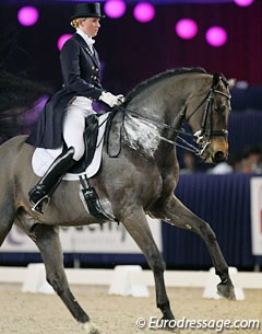 Lynn Maiburg on her long legged 14-year old Belgian warmblood Tumbling Rocky (by Fortuin Z x Feinschnitt)