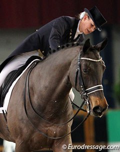 Belgian junior rider does the young riders tests with Maxwil, a 16-year old Dutch bred gelding by Goodwill x Dageraad