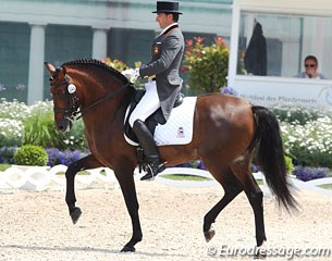 Jose Daniel Martin Dockx on Kim van Kampen's PRE stallion Grandioso