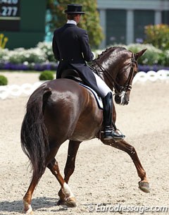 Maria von Essen on the Hanoverian bred Ferdi (by Federweisser)