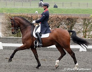 Carl Hester and Aram Gregory's Dutch warmblood gelding Douglas win the Prix St Georges