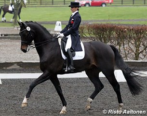 Straight from judging at the CDI Hagen back into the saddle: Isobel Wessels aboard Chagall (by Contendro)