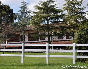 The Truppas' house overlooks the paddocks