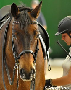 Micol Rustignoli getting Corallo Nero ready for a ride