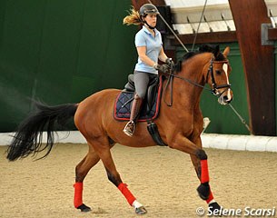 As it should be: young horses ridden in an uphill, open frame