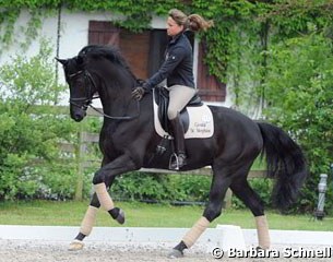 Dorothee Schneider schooling Horatio