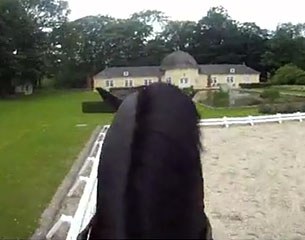 Digby performing the Dansez Maintenant freestyle at home in Berleburg, Germany