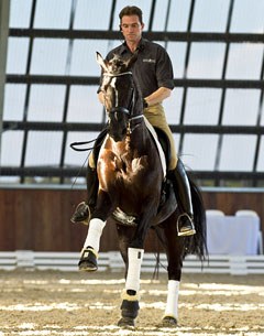 Rudolf Zeilinger riding OO Seven in a demonstration at Fiona Selby's Boneo Park in 2012 :: Photo © Chris Baggot