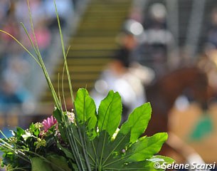 Flowers at the Bundeschampionate