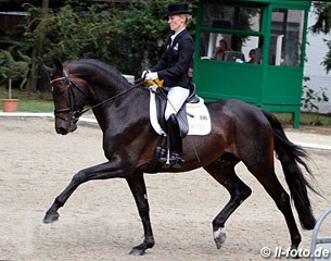 Helen Langehanenberg on the Oldenburg bred Reliance (by Rohdiamant x Freudenprinz). This mare is the full sister to Helen's former Grand Prix horse Responsible