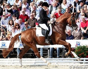 Susan Pape and Quasar de Charry (by Quaterback) were third in the 4-year old stallion class at the 2012 Bundeschampionate :: Photo © LL-foto
