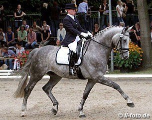 Andrea Vodermaier on the Bavarian bred Professor Dumbledore (by Pasolongo x Matador)