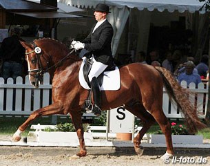 Johannes Westendarp and Bailador de Amor (by Breitling x Dimaggio)